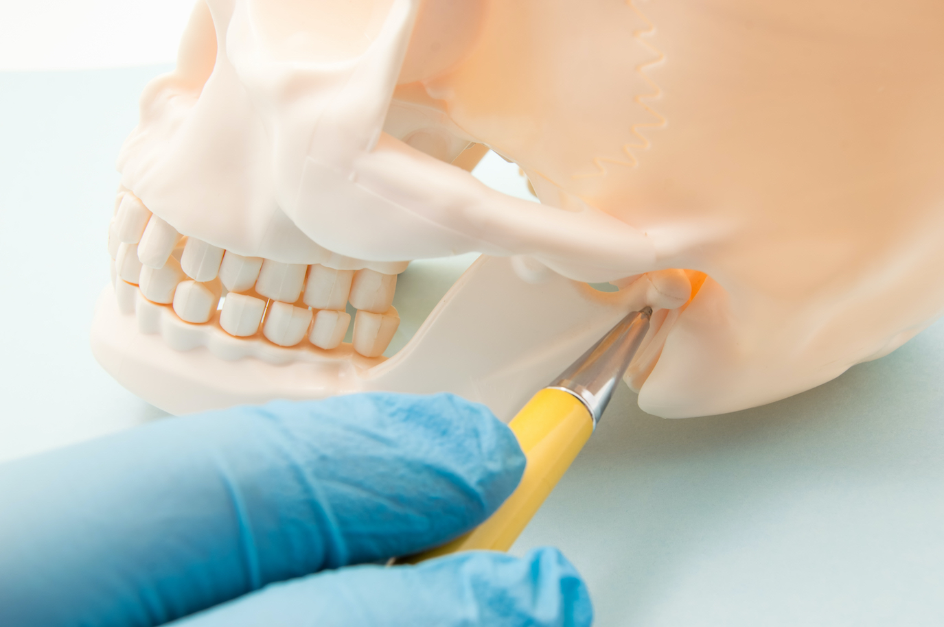 Closeup of a dentist pointing to the temporomandibular joint, the TMJ, that connects the mandible and the skull