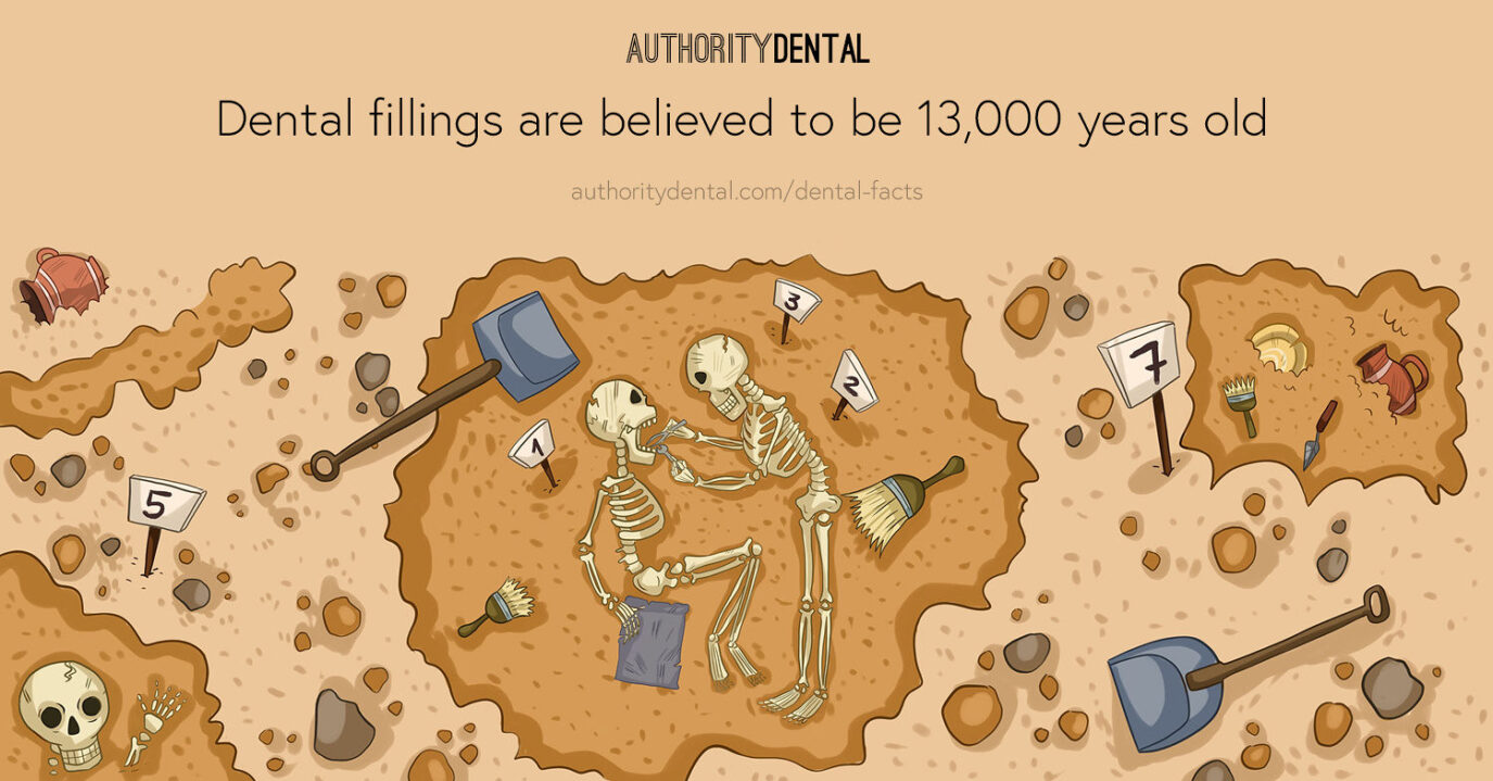 Graphic illustration of a dental fact of how dental fillings have been around for 13,000 years.